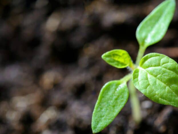 Sustainability and Conservation of Resources course image